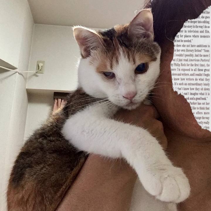 3ce083b1 3890 4e88 9758 6f4030a2b24f 1623932809348