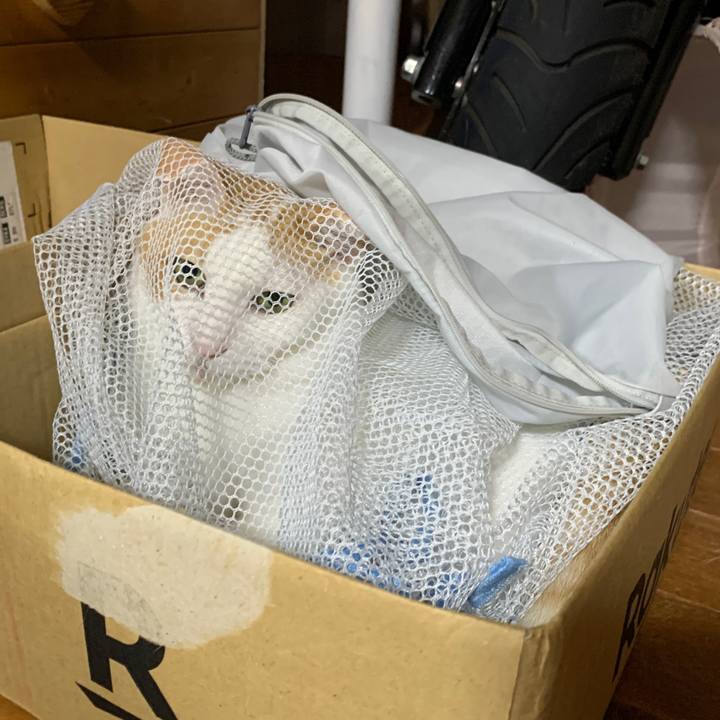 3ce103fa 104f 4949 a4f9 75030fd9e060 1661603919512