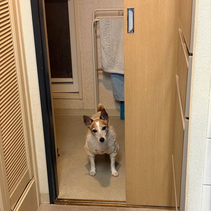 3ce10cb1 c8a9 46c1 95f0 3454d6ee7b5d 1754268139268