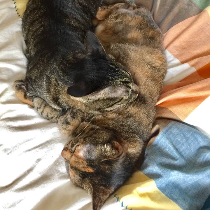 3ce176ec 6b95 4b83 9fab 2b5a4b1e982b 1549780955611