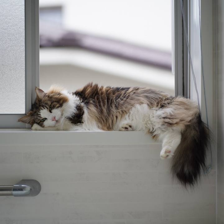 3ce19e18 5e41 4b4c 935b 972662082845 1657098245263