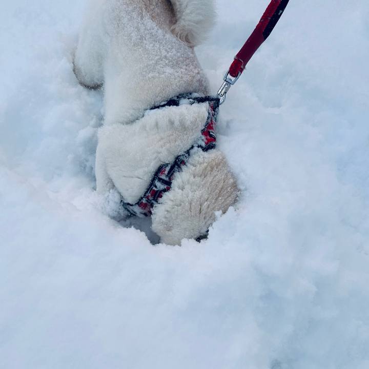 3ce19f29 20ff 42df 9e0e 8c13162b9ef7 1707091472919