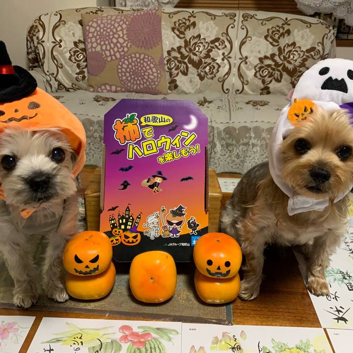 3ce1baac 8cfa 4890 bbab cdf05e8541a6 1569751682865