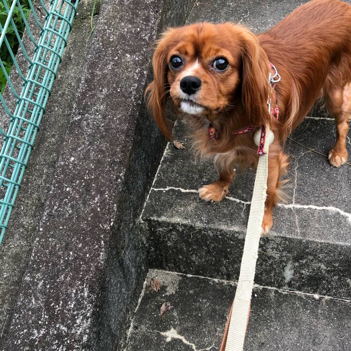 3ce1c84a 9085 4fd5 b45c a8c9b0d80bd8 1534739364933