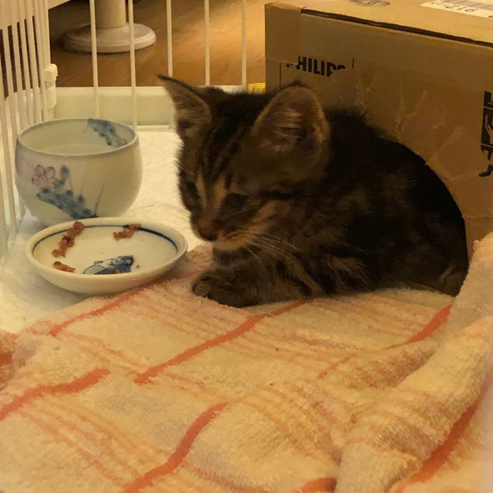 3ce1c918 0f95 4f98 87ca e4c572a1a2a9 1723895649908