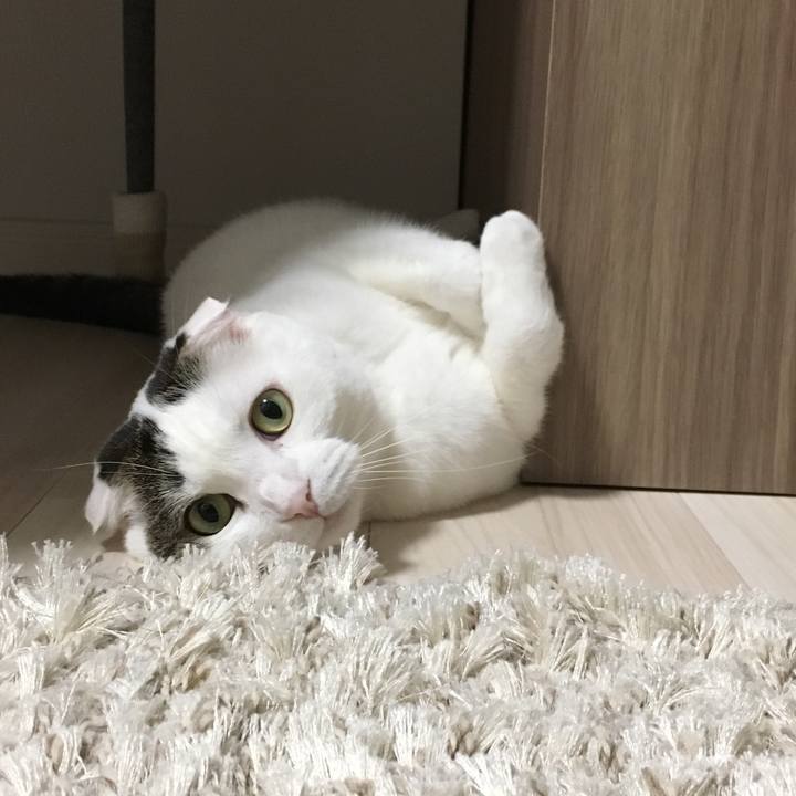 3ce1d0f0 5215 492d 93ed 6a65cfbcb477 1519300763942