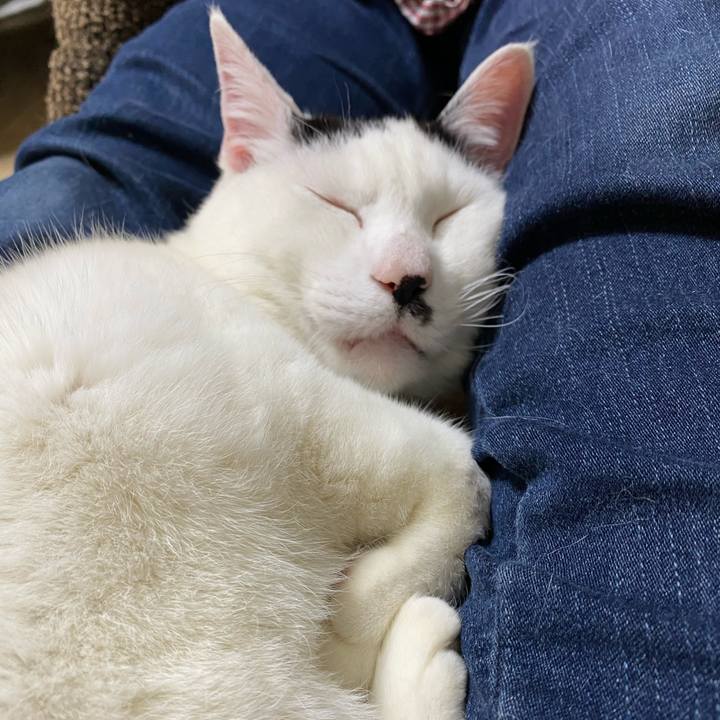 3ce1f2e1 b086 418b 8a31 cb3392002ece 1585663761827