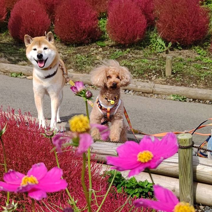 3ce1f791 d127 43f2 a86f 621d89de079f 1603181659693