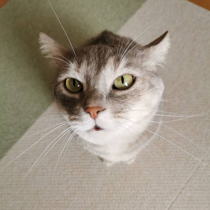 3ce21745 bd72 4ce2 921f 70dcc7b9fc1c 1629074387982