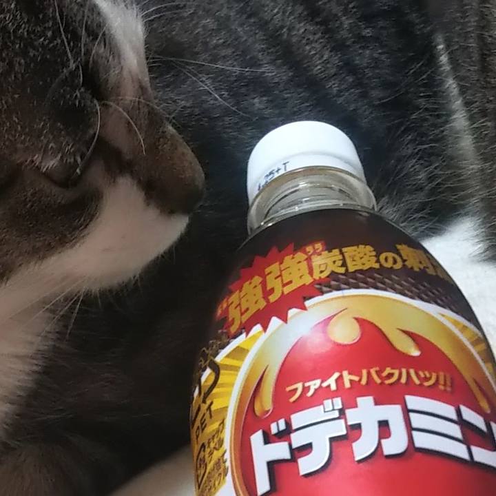 3ce22086 1709 4558 a074 89d735488834 1607414704485