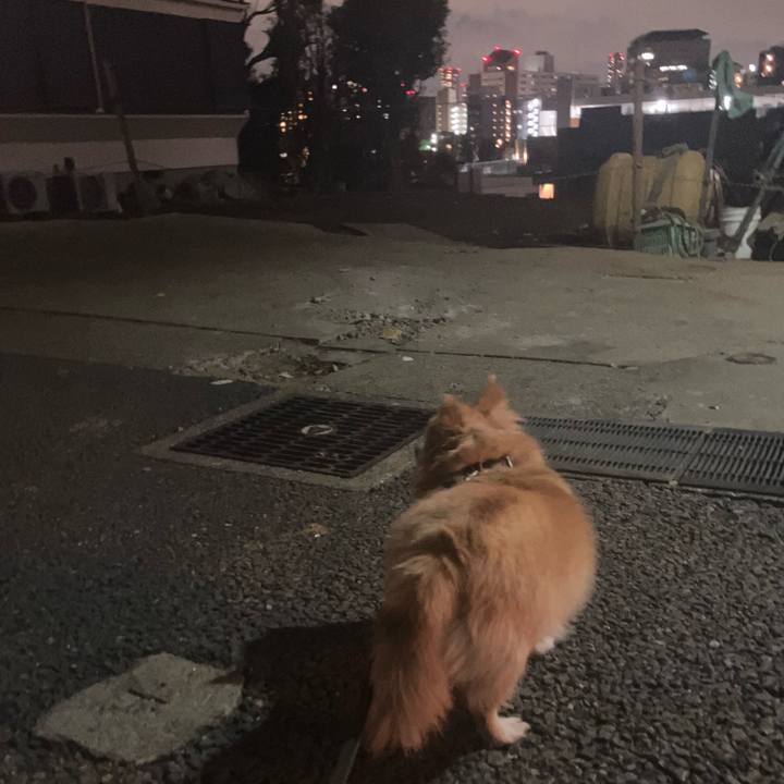 3ce23177 53ff 4f5f a435 110c775bf387 1764425566913