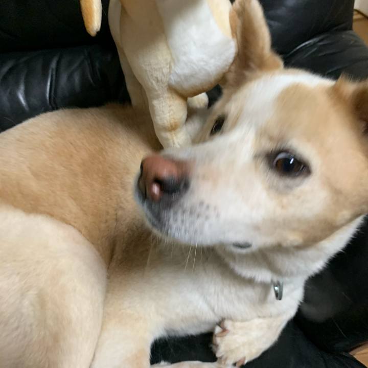 3ce269c3 e701 4615 a23c 7c51c6974445 1602157542871