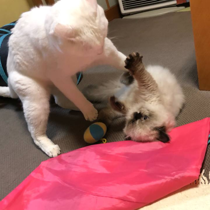 3ce2aff7 9aa5 4902 b607 ac116c55651d 1633433004146