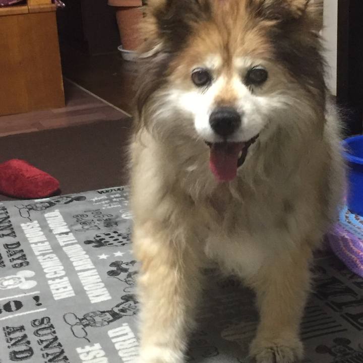 3ce2b1da daa7 4669 90de a46f137eb254 1562128549897