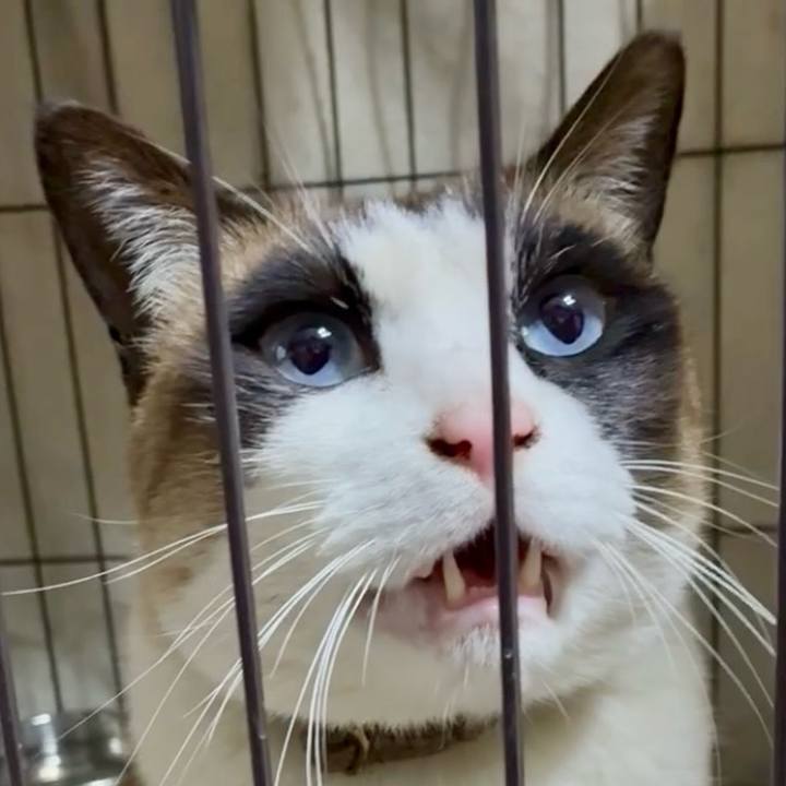 3ce2d1b3 1c09 4340 b412 8cc900471f4d 1772023434543