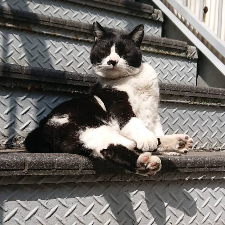 3ce2f511 05d0 4195 9345 2eb24e357b3a 1553513280710