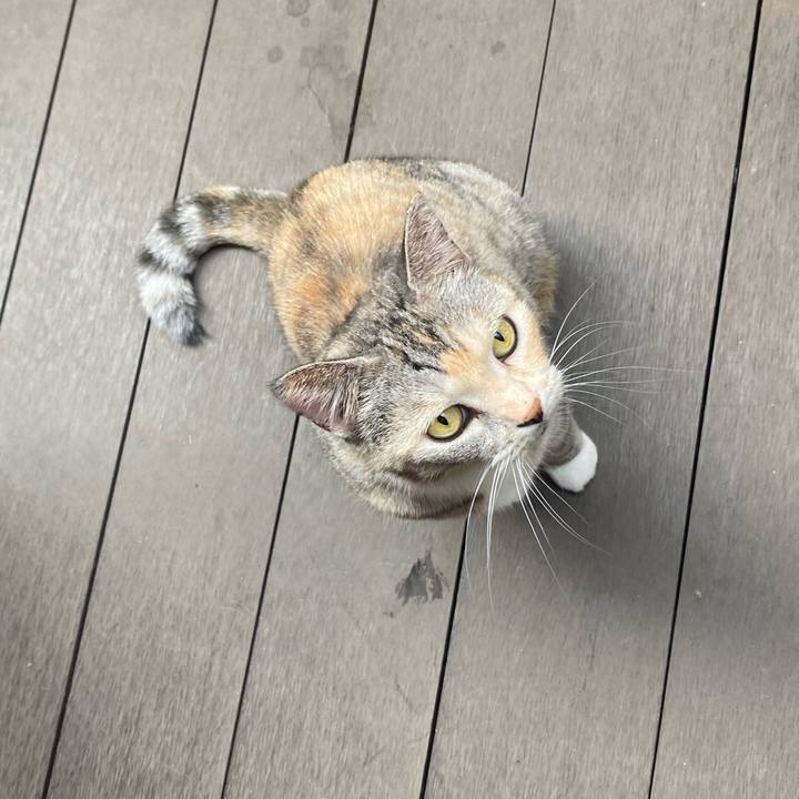 3ce31cf1 dac1 41a9 96e7 3be5148aabbe 1627540949492