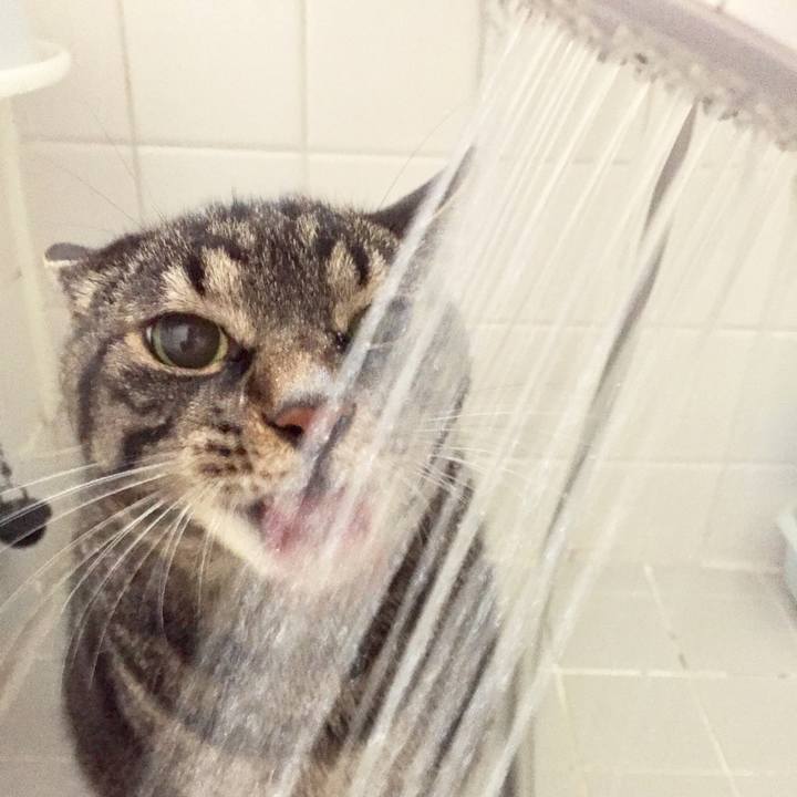 3ce32f39 fa2c 40ce b21a d363e5b5f994 1626951259875