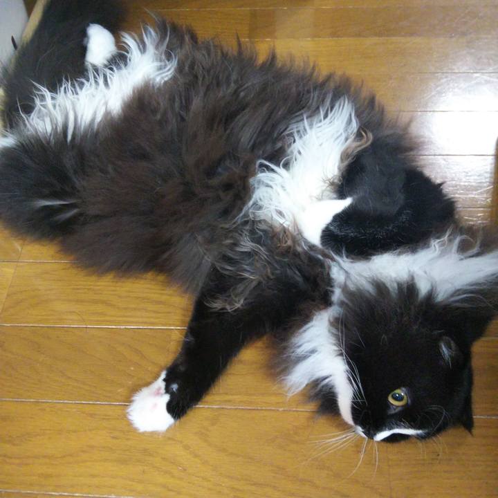 3ce33062 7113 477c a868 4c158b8d09e1 1661174903693