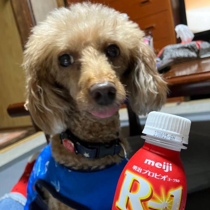 3ce3438c 18d3 4571 9823 600feb0dd898 1693195456250