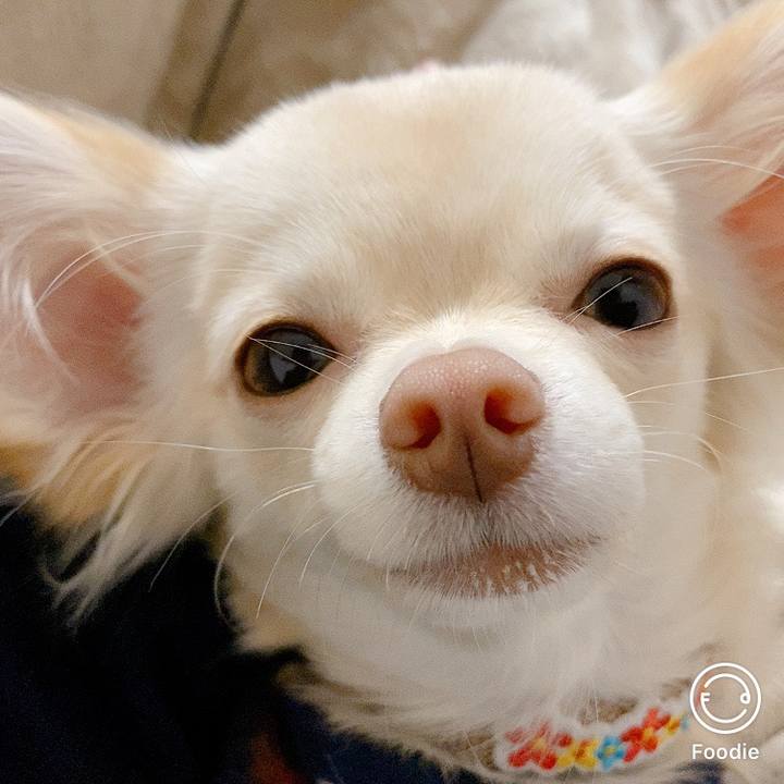 3ce3494e bde4 4151 bbca 04fe3012a370 1607380403036