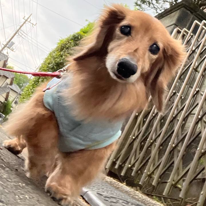 3ce34c17 2d1e 4892 9627 307ef3d488ed 1681819308461