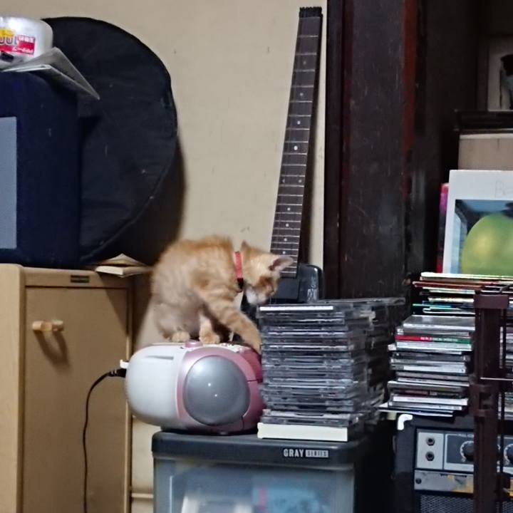 3ce34d6d df9b 4d59 9153 f5b7ded82e1d 1629719948174