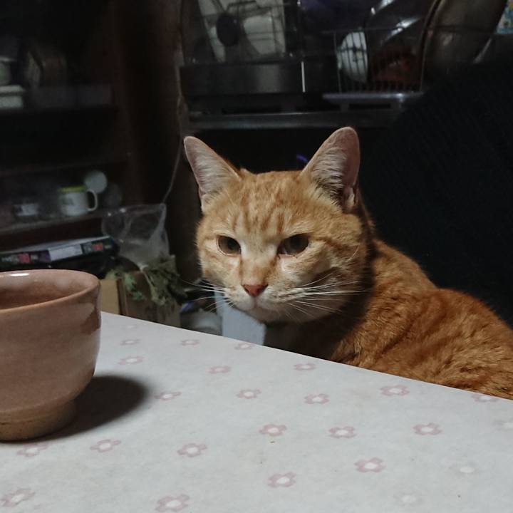 3ce37f51 a13d 43ed 9ab5 c113d2d29ec1 1582837808664