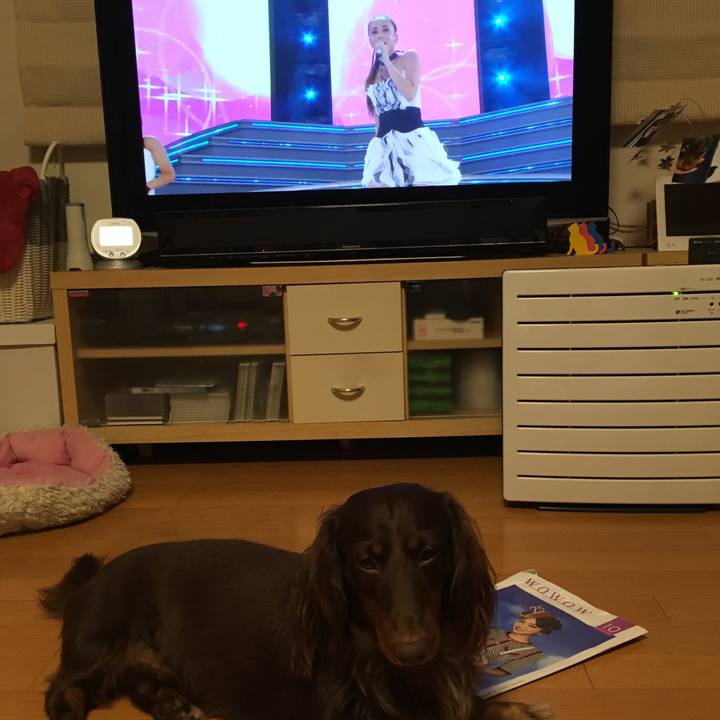 3ce3b4ee f45e 4ef6 9b4c 9dc8ec632ce4 1508668492963