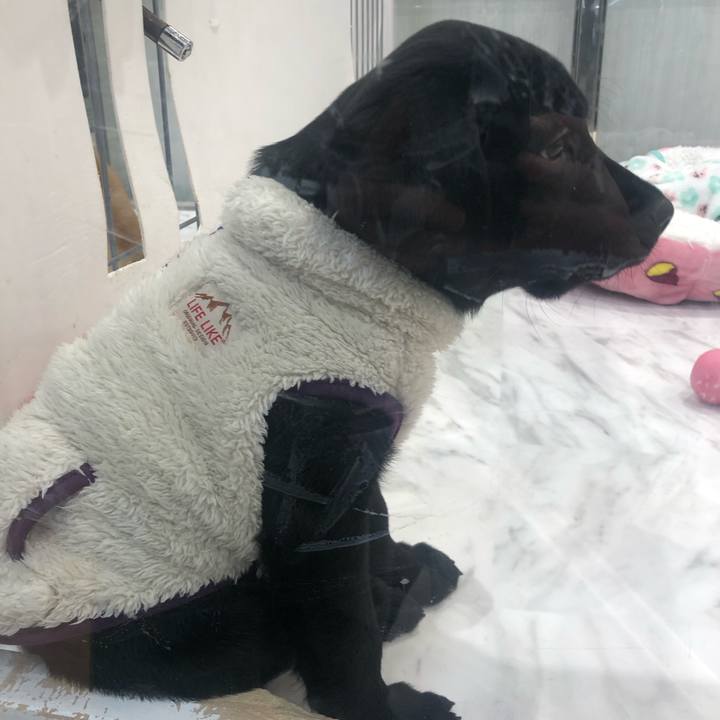 3ce3c0a0 9b0a 4ed7 90c4 befcf9ee7ea6 1671281927427