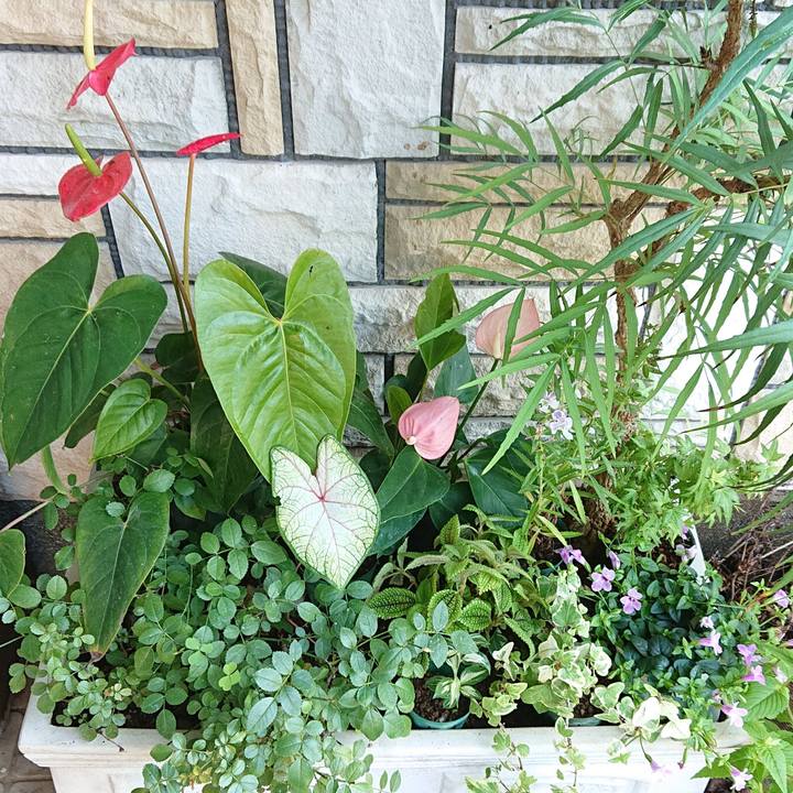 3ce3c969 e7d1 4865 9b87 57030a0b3b9f 1661918889620