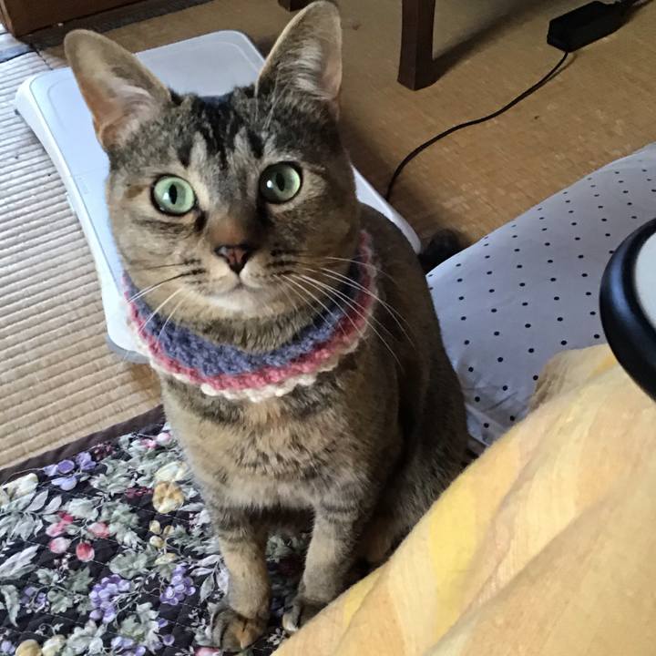 3ce404ca 9560 48c5 8d95 0c92d2cfb41a 1619906697621