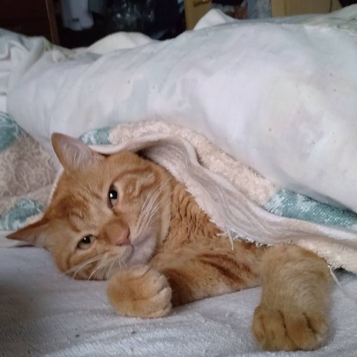 3ce442da b218 410c 98f2 22f175c0c1ad 1696805837706