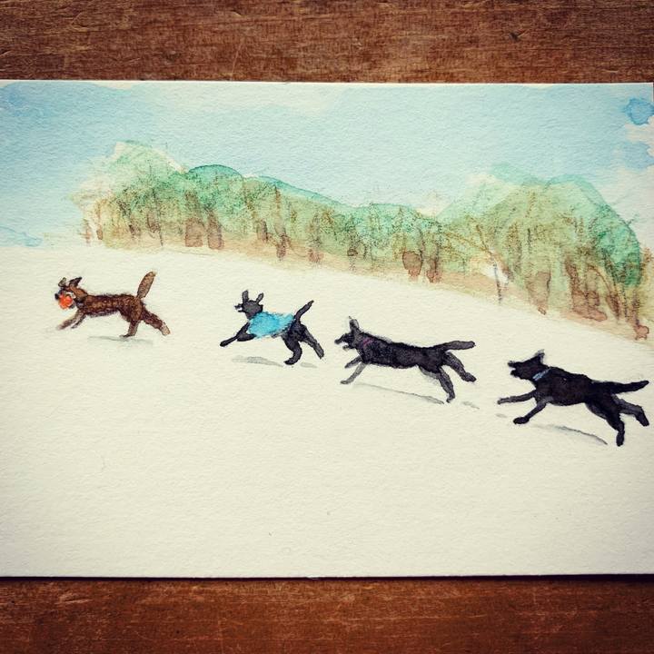 3ce48076 9bb9 4863 8d43 969c73ed7c65 1609722688011