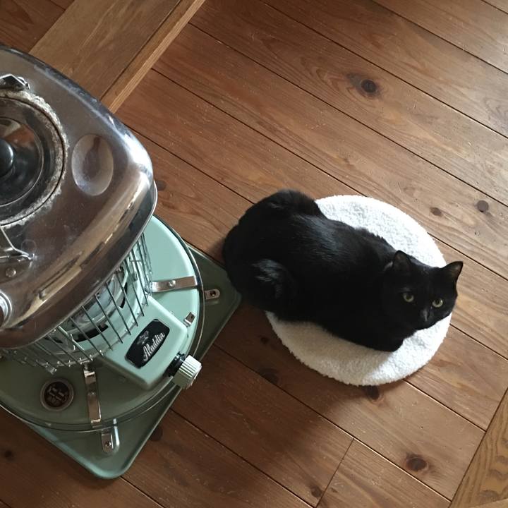 3ce481ff 26ac 40b7 b590 0712cb1658c9 1544829779796