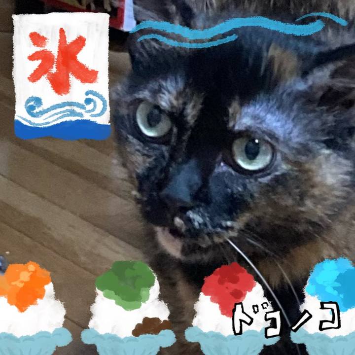 3ce4822e 2b84 4048 a0d3 12347f90db35 1723256422296