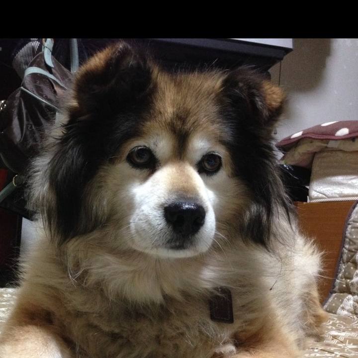 3ce483ae e96c 4124 a035 e8219cf97ece 1601336347129