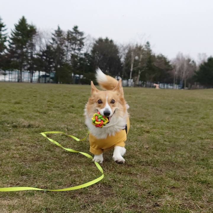 3ce490ae 2765 46c4 81c1 4662eaf4d04f 1775400023928