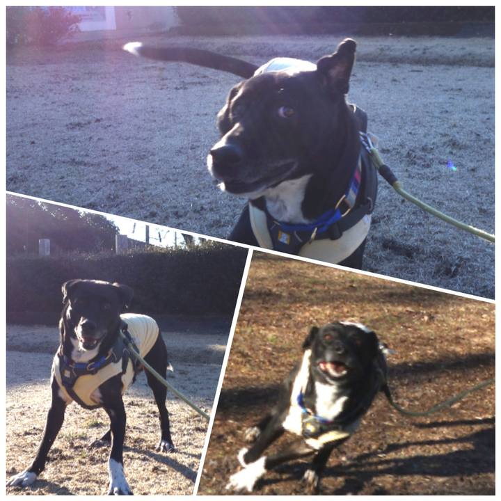 3ce4c1a9 99ba 4dca b922 f5fe9eca9c5a 1645059077317