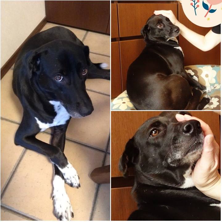 3ce4d45b 8d5a 4d7f bec9 9b1512111cab 1625668471435