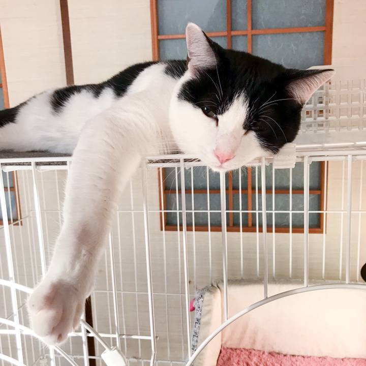 3ce56765 cf5d 48f2 ad2c 0027919d8909 1512812417142