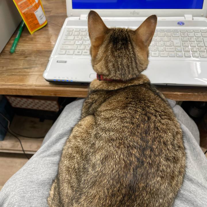 3ce59c6f b06a 4aae b198 dc2e8ee1ad4a 1676465947733