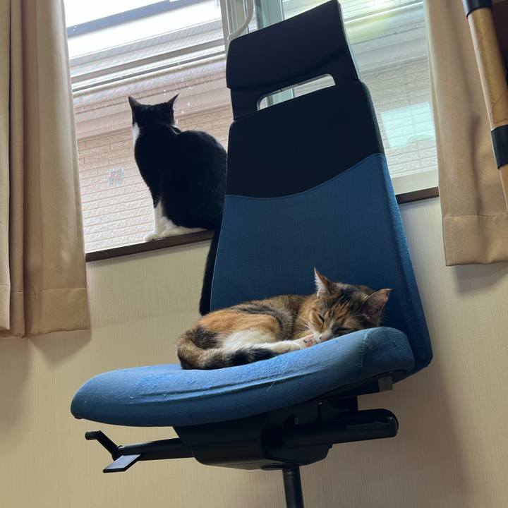 3ce5a0f8 b0c5 43f6 bded eaa2126717b1 1665875836256