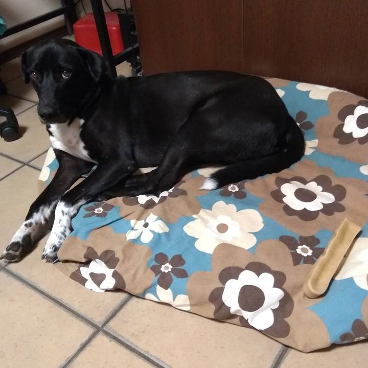 3ce5c7d8 7254 4345 92fe 8c4a9bbed929 1599820995218