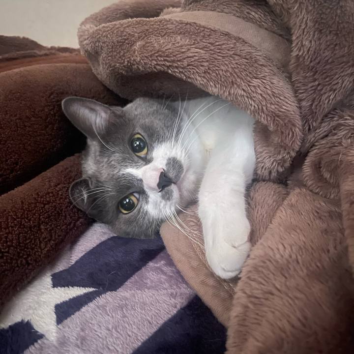 3ce5df8f ed48 4ecc 8ae6 ba09ca5402e5 1697580641962