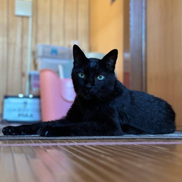 3ce60528 9a43 4b3c a596 819d1974a6b2 1693099003304