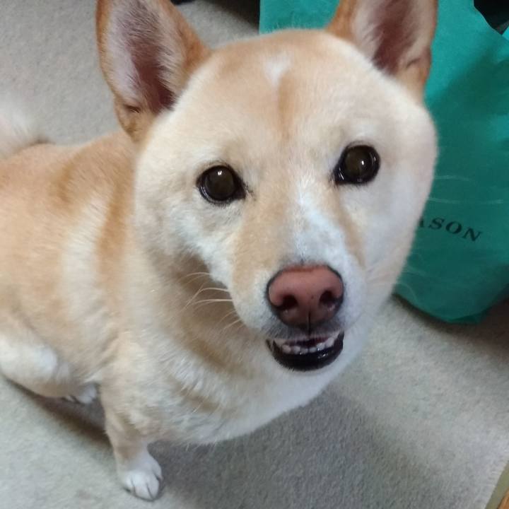 3ce60ed8 0504 4a0a abf8 e264d92441a2 1567078319096