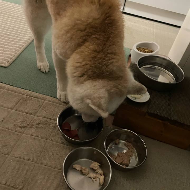 3ce611c3 8aa3 4286 a598 b9ff183cb274 1738073117216