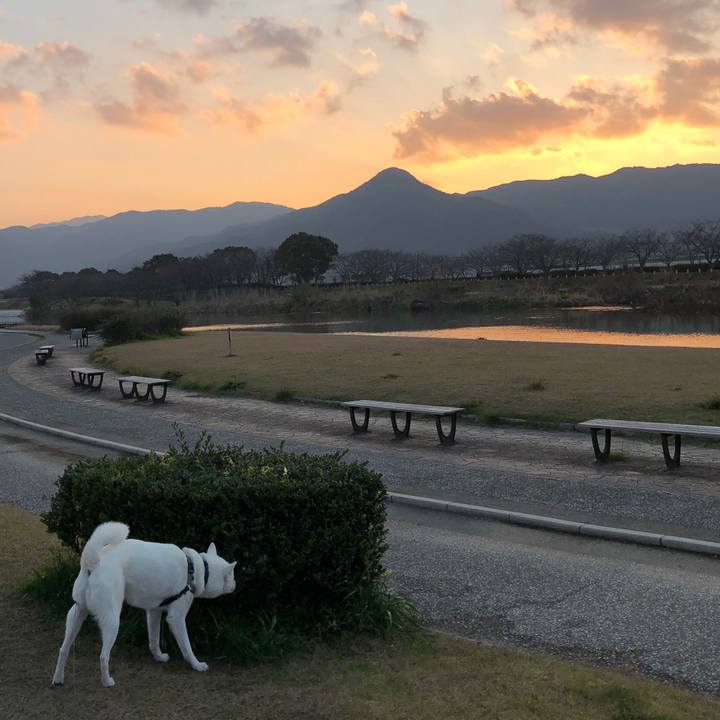 3ce6299d 8528 4fbb a39b 52878939a05c 1580547620790