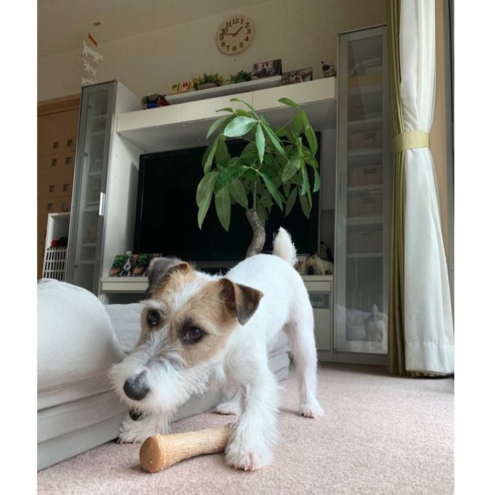 3ce663b2 2be7 456e 8ac9 57b0e8601a02 1578631723913